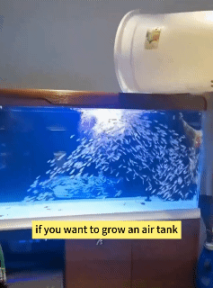 300ml Fish Tank Water Purifier Algae Remover