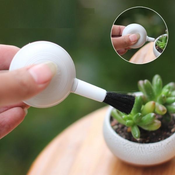 2-in-1 Cleaning Blower Brush Air Dust Cleaner for Camera Lens Telescope Succulent Plant - stringsmall