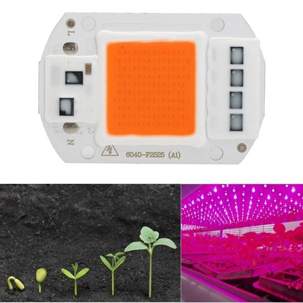 50W LED Full Spectrum Plant Grow Light DIY COB Chip AC220V