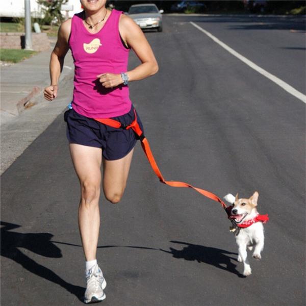 Morning Running Use Pet Dog Leash Running Jogging Puppy Dog Lead Collar Red