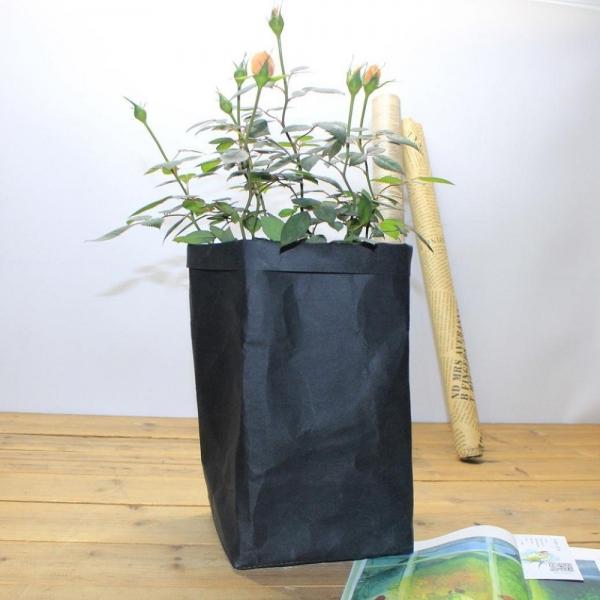 Washable Kraft Paper Bag Multifunction Wear-resistant Plant Flowers Pot - Black 10*10*20CM