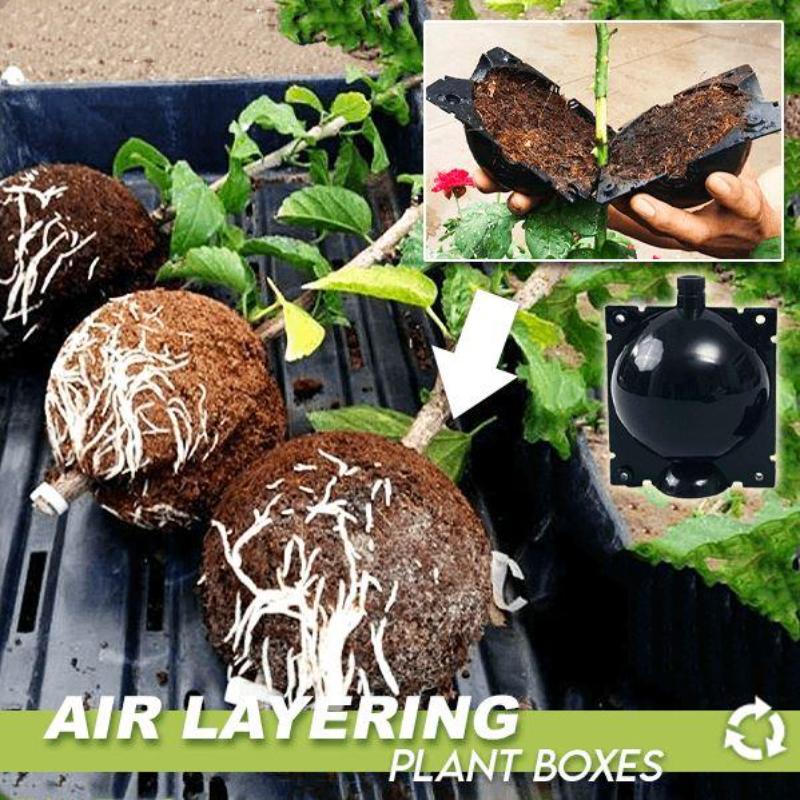 3Pcs Plant Rooting Device High Pressure Propagation Ball High Pressure Box Grafting Breed PGarden lant Root Growing